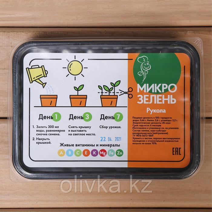 Набор для выращивания, Рукола «Вырасти сам микрозелень», лоток 130*180*30мм, черный