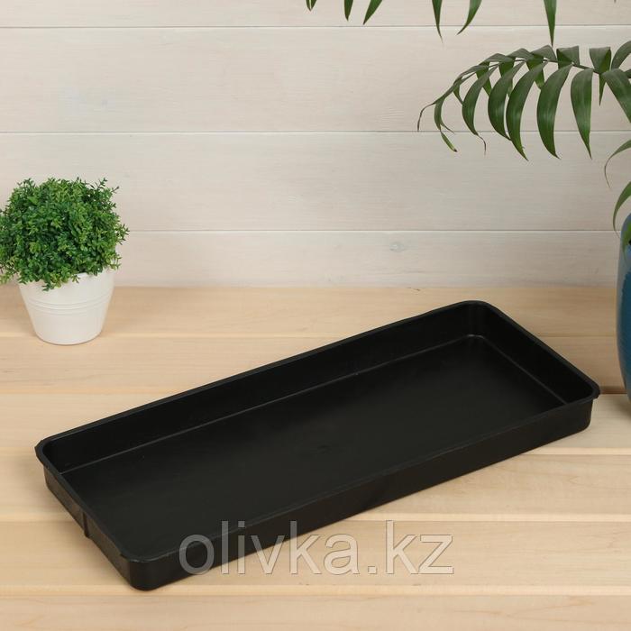 Поддон для рассады, 43 × 17 × 3 см, цвет МИКС