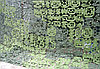 Маскировочная сетка "СТАНДАРТ" на сетевой основе 2х5м, фото 2