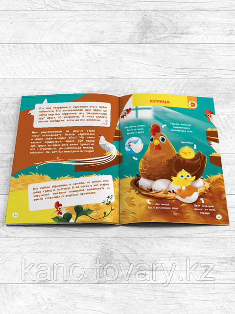 Атақты адамдармен эротикалық карталар