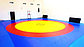 Борцовский ковер трехцветный 10х10м с покрышкой, толщина 5 см, фото 3