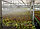 Фоггер туманообразующий Fogger 28 л/ч, фото 3