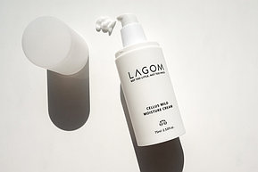 Нежный увлажняющий крем LAGOM Cellus Mild Moisture Cream, 80мл., фото 2