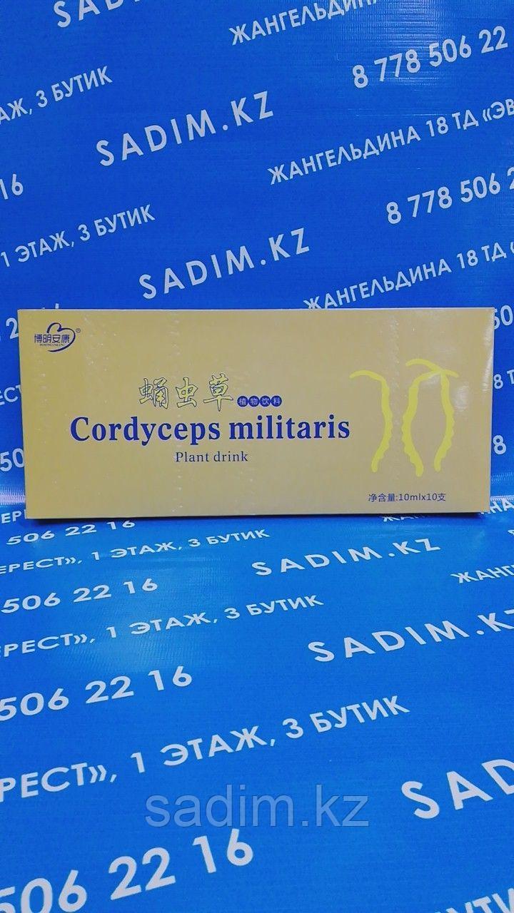 Жидкий Кордицепс ( Cordyceps militaris ) 10 мл 10 шт