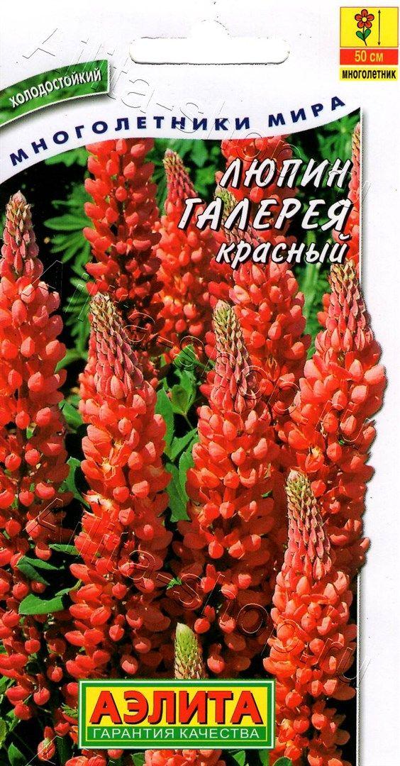 Купить Семена Люпина Красного