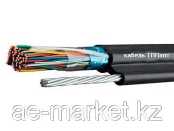 ТППэпт 20*2*0,4