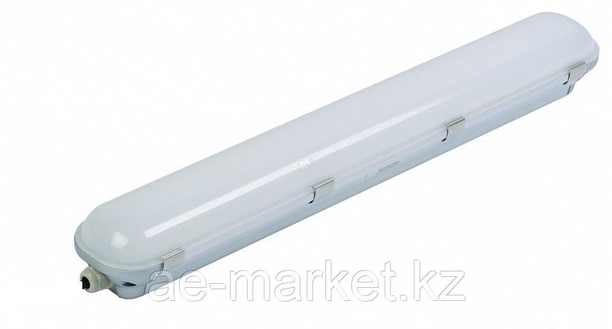 Светильник LED ДСП POLUS 20W IP65 (аналог ЛСП 2х18) - фото 1 - id-p90767636