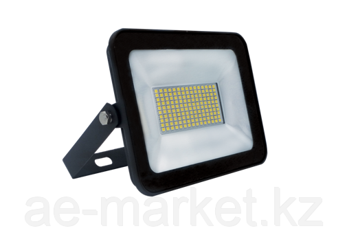 LED Прожектор SKAT 10W 4000K IP65 - фото 1 - id-p90766982