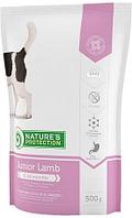 Корм Nature's Protection Junior Lamb для щенков ягненок 500 г