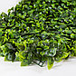 Коврик Фикус искусственный зеленый, фото 2