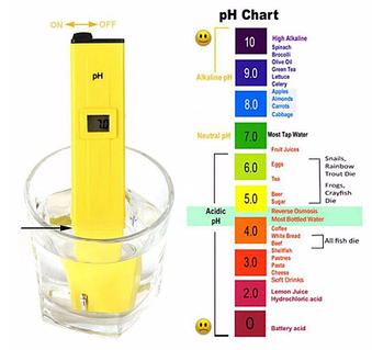 Магадандық жезөкшелер