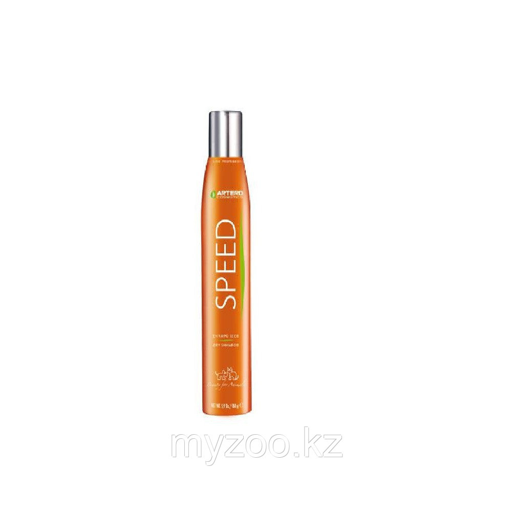 Artero Dry Shampoo, 0.3l