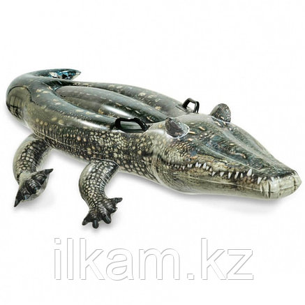 Надувная игрушка Крокодил INTEX, 170 х 86 см, от 3 лет, 57551, фото 2