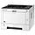 KYOCERA 1102RX3NL0 Принтер лазерный черно-белый P2040dn, A4, 1200dpi, 256Mb, 40 ppm, 350 л., дуплекс, USB 2.0,, фото 3