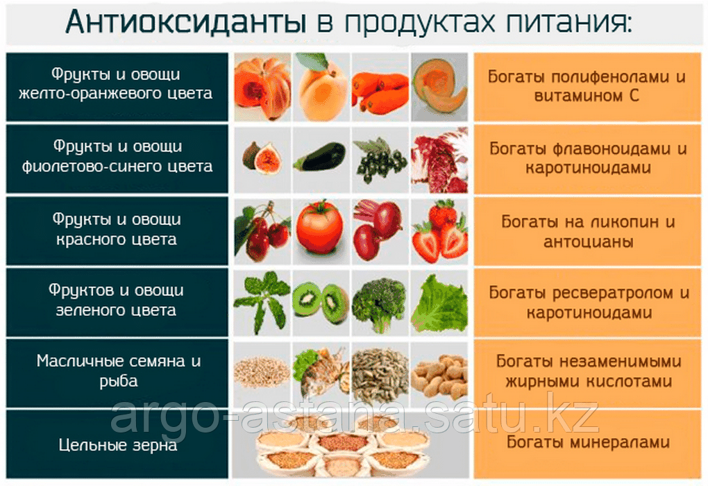 Антиоксидант Коллоидный, коллоидная фитоформула, 237 мл - фото 3 - id-p90067184