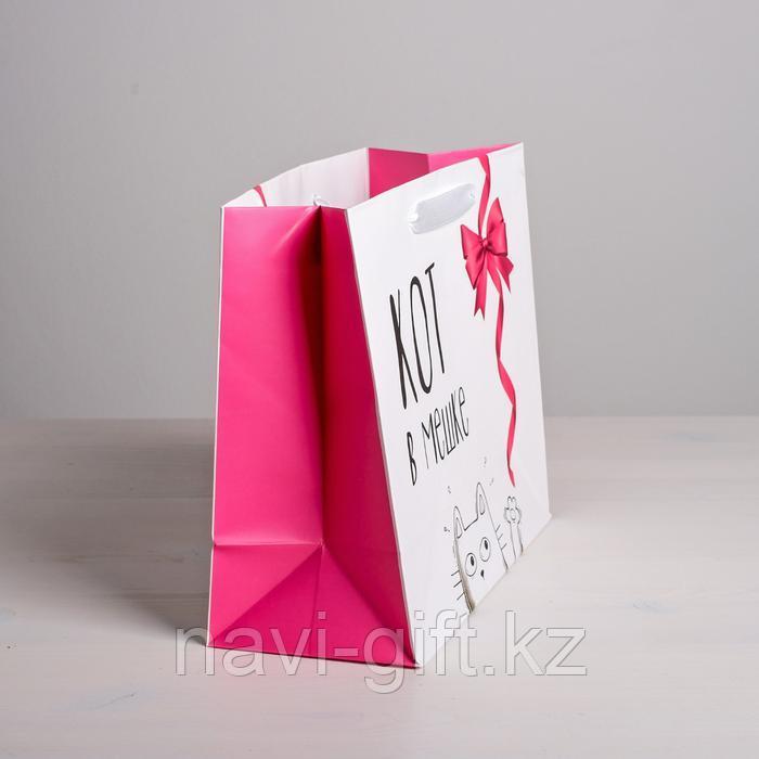 Пакет ламинированный горизонтальный «Кот в мешке», ML 23 × 27 × 11,5 см - фото 2 - id-p90997280