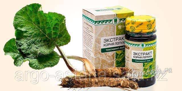 Шейхтің гаремінің порносы