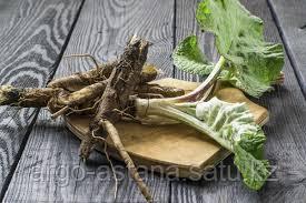 Русский конвульсиялық оргазмы порно видео