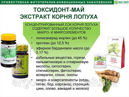 Интернетте ресейлік эстрада жұлдыздарының қатысуымен порно