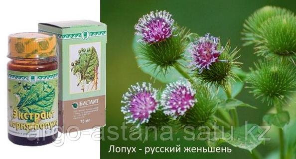 Шимале жыныстық қатынастан шығады