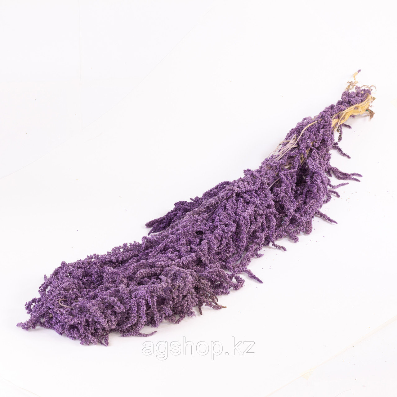 Амарант (фиолетовый)