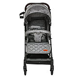 Прогулочная коляска Pituso Camino Grey Metallic, фото 2