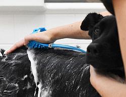 Щетка-душ для собак