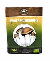 Домашняя грибная ферма Mushrooms Farm, белый гриб