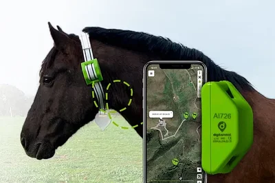GPS Трекер для лошадей | крупного скота