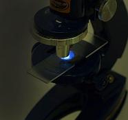 Микроскоп детский с дисплеем «Юный натуралист» 2 в 1 с подсветкой и аксессуарами, фото 7