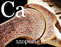 Здоровье костей и суставов, роль кальция в организме.