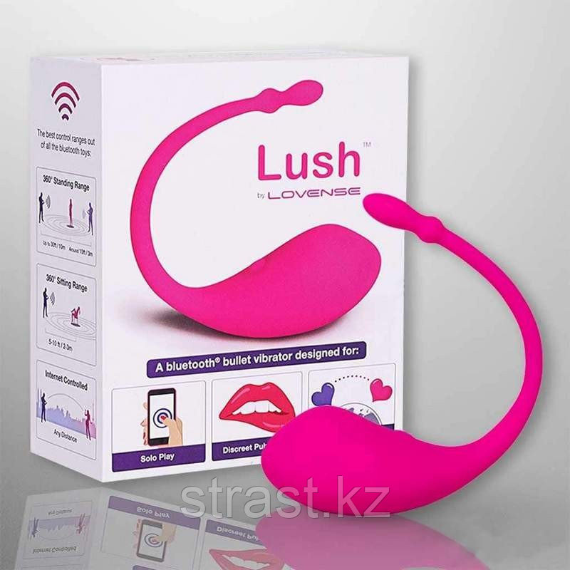 ВИБРОЯЙЦО C ПРИЛОЖЕНИЕМ, ДЛЯ ПАР И ВЕБКАМ-МОДЕЛЕЙ - LUSH BULLET VIBRATOR (LOVENSE)