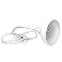 Жоғары сапалы порно сперматозоидтар жинағы