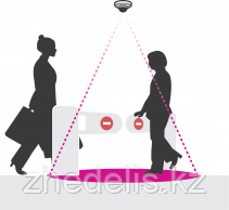 AXIS DIRECTION DETECTOR E-LICENSE