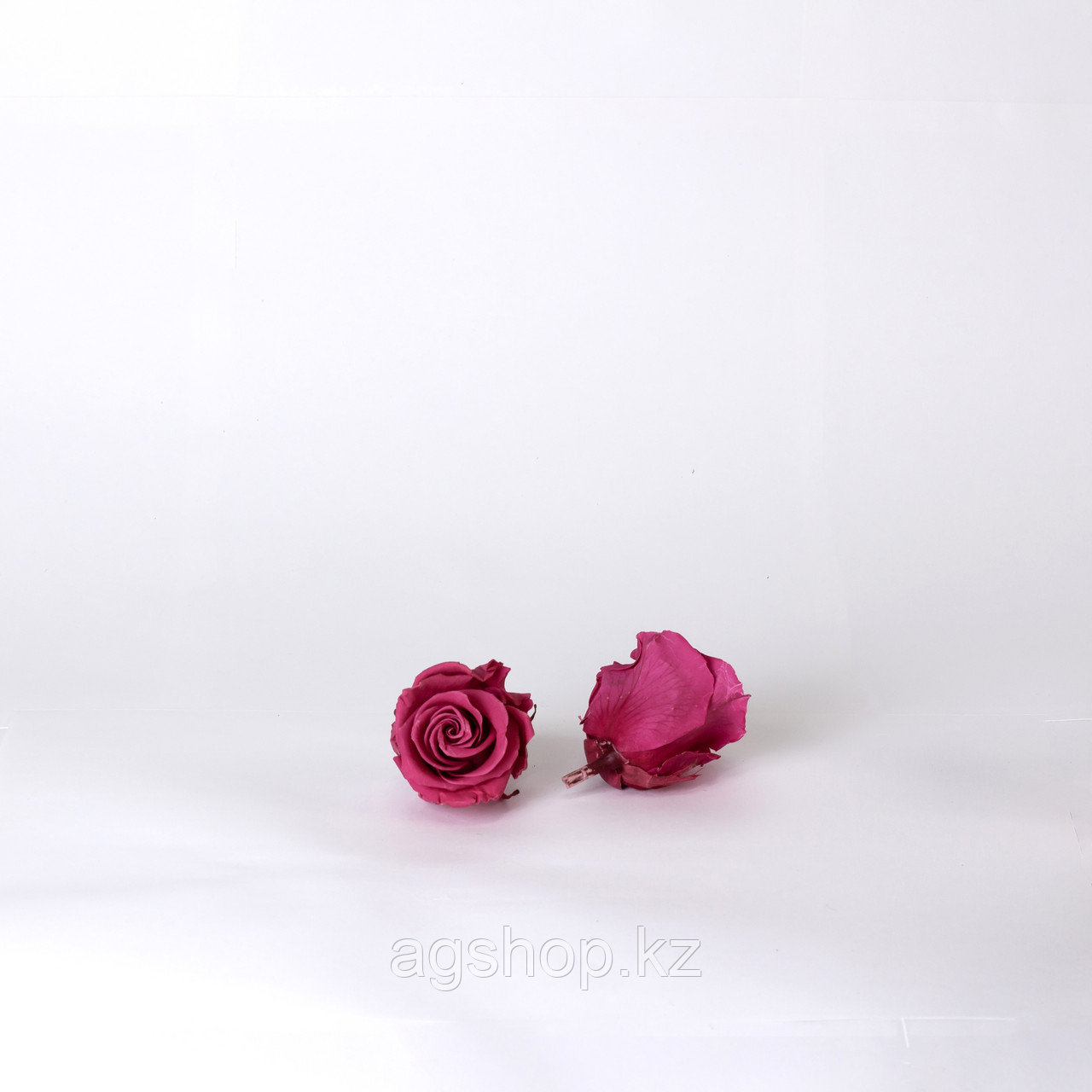 Роза Стандарт (ярко-розовый); 6 бутонов - фото 2 - id-p91392179