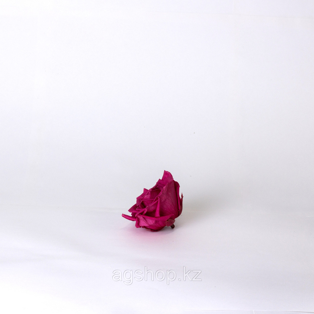 Роза Премиум (ярко-розовый); 4 бутона - фото 2 - id-p91409705