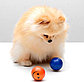 Игрушка для животных Мячик Смайлик, фото 3