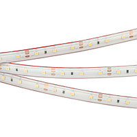 Светодиодная лента герметичная RTW-PS-A60-10mm 12V Warm3000 (4.8 W/m, IP67, 2835, 5m) (arlight, -)