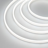 Гибкий неон ARL-MOONLIGHT-1004-SIDE 24V White (arlight, 6.8 Вт/м, IP65)
