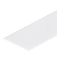 Экран-вставка белый P10W-2000 (arlight, Пластик)