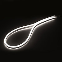 Образец Гибкий неон ARL-CF2835-Mini-24V White (16x8mm)-0.9m (arlight, -)