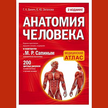 " Анатомия человека " (мягкая обложка)