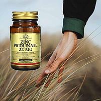 Solgar Пиколинат Цинка 22 мг.,100 таблеток, фото 5