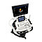 Ультразвуковая система (сканер) SonoScape S40Pro, фото 2