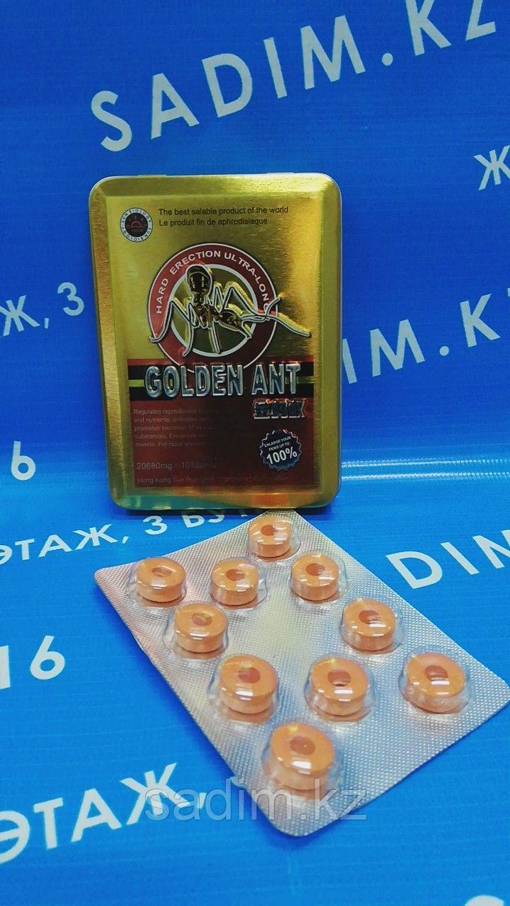 Golden Ant