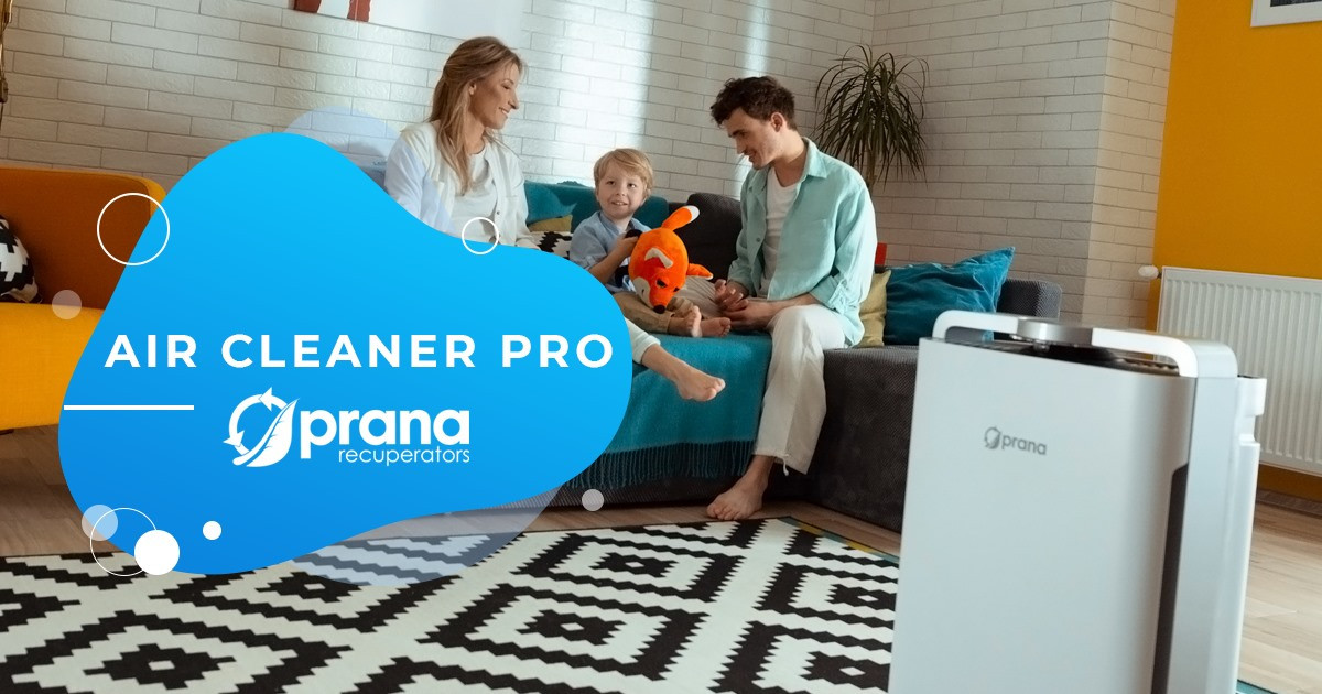 Очиститель воздуха PRANA Air Cleaner Pro