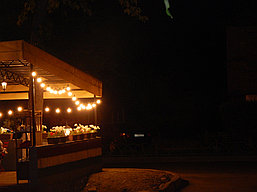 Гирлянды ретро для кафе Optima на 10 метров 10 ламп. Гирлянда с лампочками для улицы., фото 3