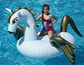 Большой надувной плот "Пегас с крыльями"  240 х 240 х 120 см;