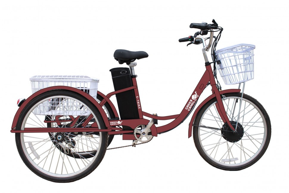 Электровелосипед GreenCamel Трайк-24 (R24 500W 48V 15Ah) 7скор - фото 2 - id-p91608090
