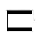 Экран моторизированный Deluxe DLS-ERC274x206W